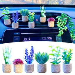 image-Creative succulent cactus potted car air-conditioning outlet aromatherapy clip car aromatherapy cotton car interior decoration