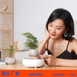image-Creative magnetic levitation imitation ceramic flowerpot office personality desktop living room decoration balcony succulent potted planting decoration