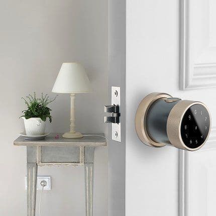 image-Li Feng LFD60 Fingerprint Door Lock - Champagne Gold