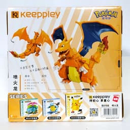 image-Enlightenment Pokémon Building Blocks Fire Dragon