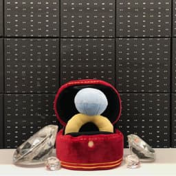 image-Ins Korean diamond ring set dog vocal toy pet Tibetan food toy foreign trade original single pets