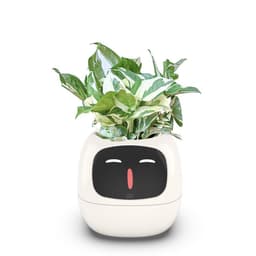 image-Autonomy Plastic Flower Pot - Pink 20cm