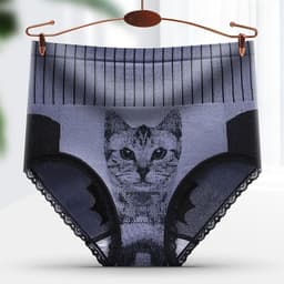 image-Palace Cat High Waist Corset Briefs - Large Graphene