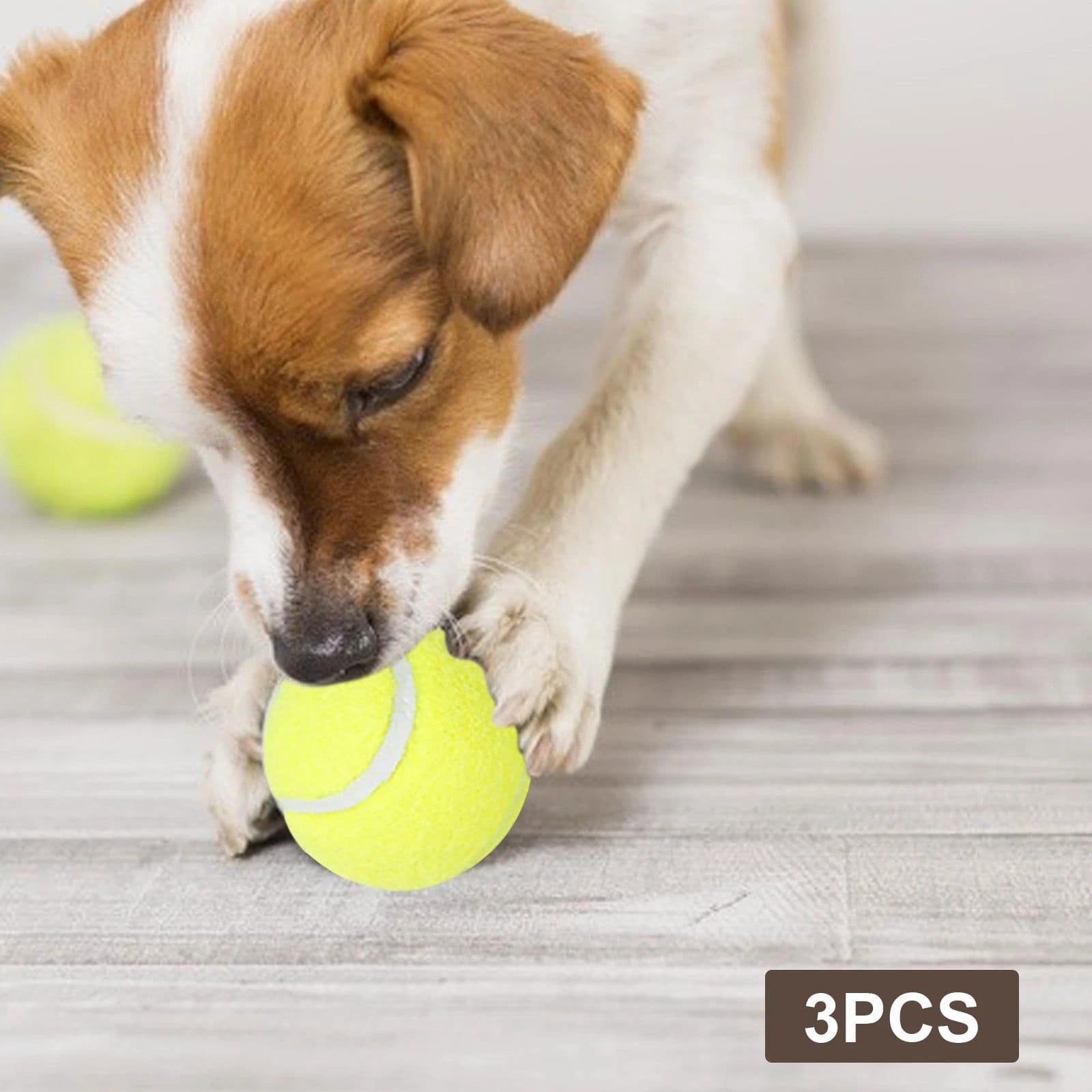 image-Pet Tennis Ball Launcher - 5cm Small Ball