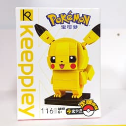 image-Enlightenment Pokémon Building Blocks Fire Dragon