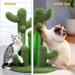 image-Cat Climbing Frame Saguaro Cactus Plant Indoor Toy - Green Wooden