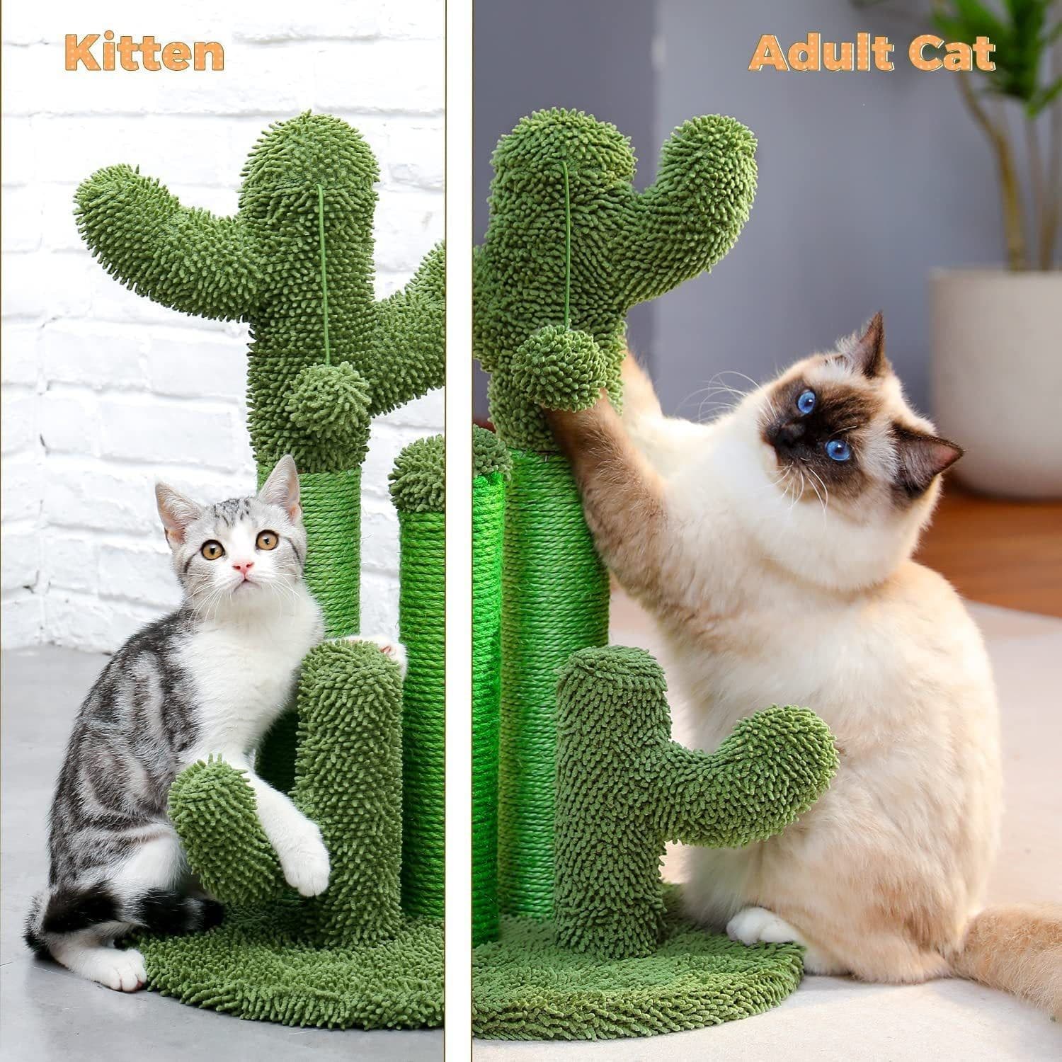 image-Cat Climbing Frame Saguaro Cactus Plant Indoor Toy - Green Wooden