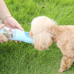 image-Pet Water Food Bowl Portable - Dual Cup