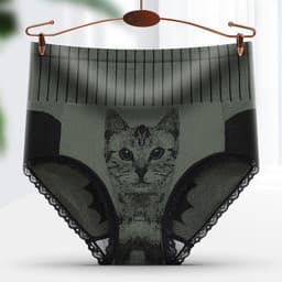 image-Palace Cat High Waist Corset Briefs - Large Graphene