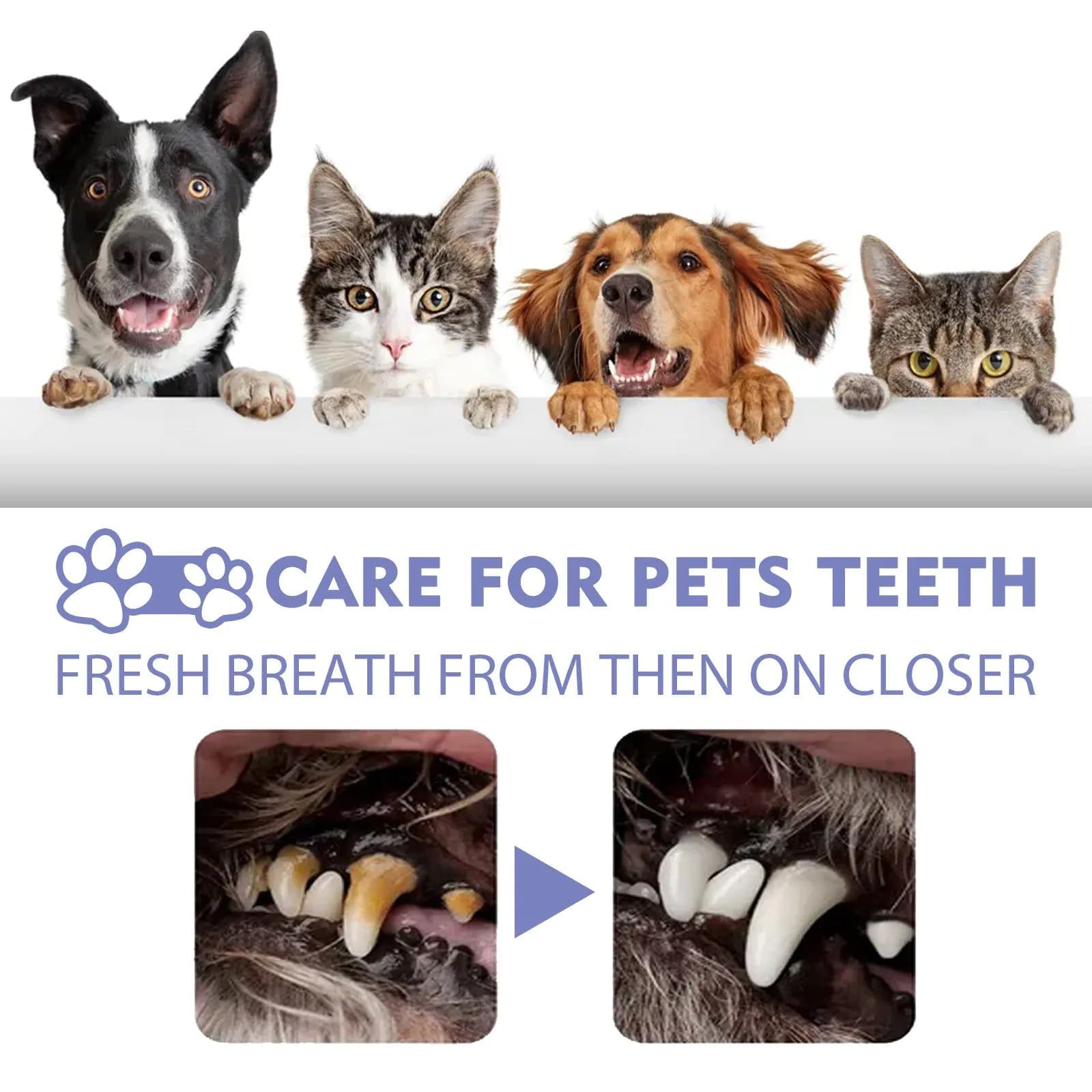 image-Yegbong Pet Oral Spray 60ml Breath Fresh