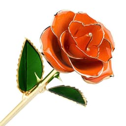 image-24K Gold-Plated Roses Lacquer Flowers