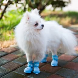 image-Dog Rain Boots Set of 4 - Waterproof Silicone Pet Shoes