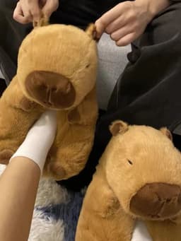 image-Ruipu Capybara Slippers - Camel - Plush EVA - Size 35-41
