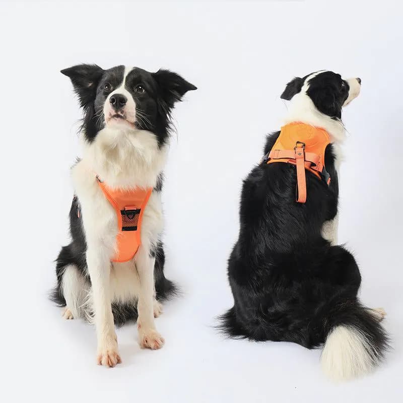 image-KINYU Dog Harness Leash Set - Black XL Retractable