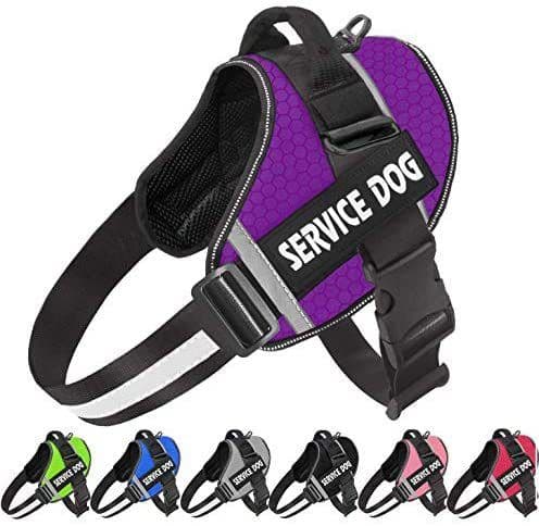 image-Pet Dog Reflective Harness Leash - Pink XXL