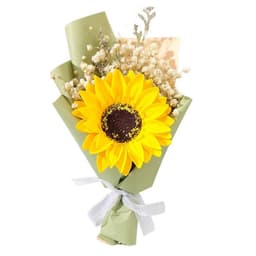image-Aromatherapy Clip Bouquet - Beige Hydrangea Car Fragrance Decor