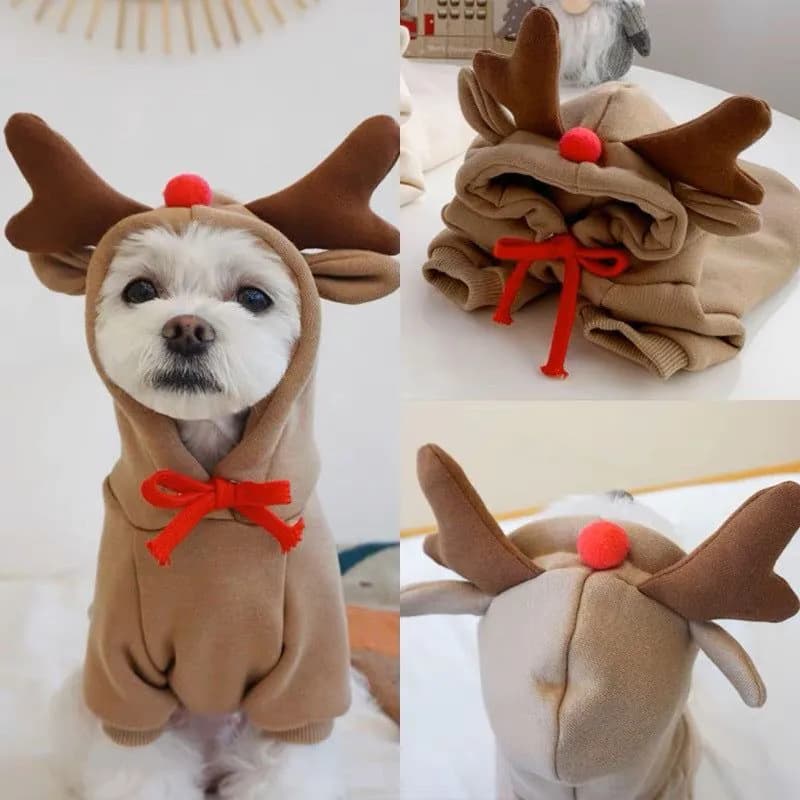 image-Dog Clothes Spring Sweatshirt Teddy Small Medium