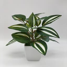 image-Simulation Watermelon Leaf Potted Plant - Monstera