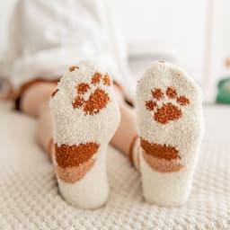 image-Coral Velvet Winter Warm Thickened Cat Socks for Women - Blue Medium Tube