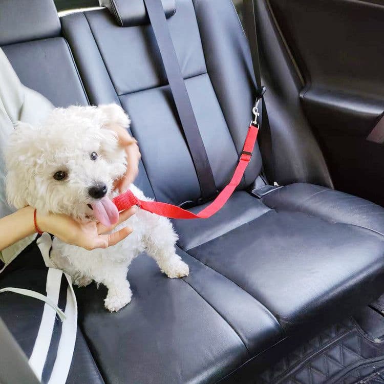 image-Pet Car Seat Belt 2 In 1 Rear Seat Dog Safety Rope