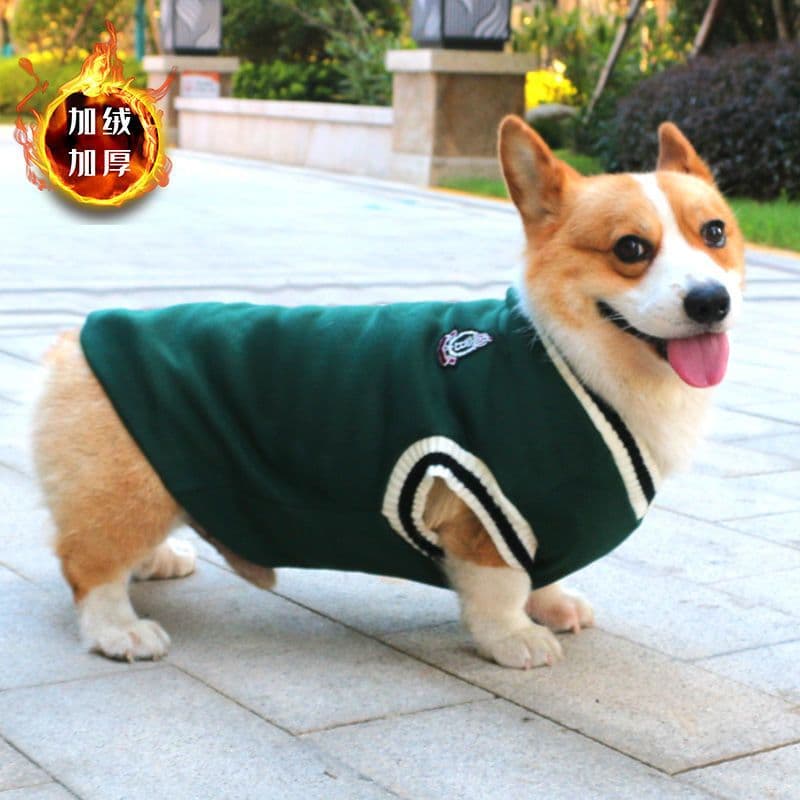 image-Dog Corgi Knitted Sweater Autumn Winter