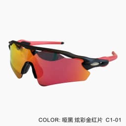 image-PARD HORSE L9208 Cycling Sunglasses - TR90 UV Protection