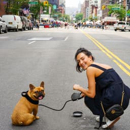 image-Pet Leash with Built-in Water Bottle - Blue ABS 3-in-1