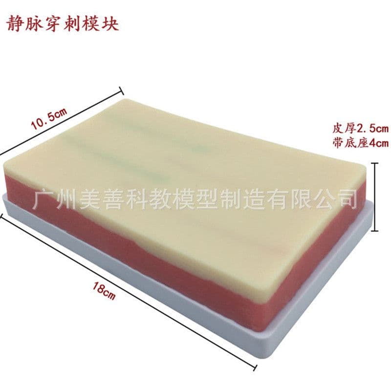 image-Multifunctional Vein Injection Training Skin Model - Arterial Infusion