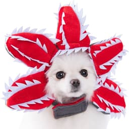 image-Dog Halloween Costume - Knife Transformation Outfit Polyester