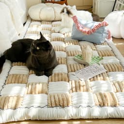 image-Foreign trade thickened ins wind cream color autumn and winter plush bedside mat non-slip rectangular bun mat tatami mat