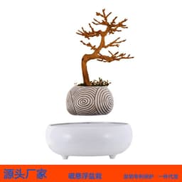 image-Creative magnetic levitation imitation ceramic flowerpot office personality desktop living room decoration balcony succulent potted planting decoration
