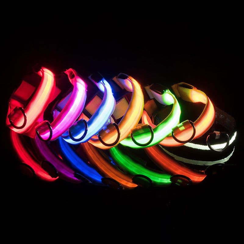 image-Si Sheng LED Dog Collar - Light Up XL