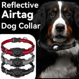 image-Dog Collar for Apple AirTag - Pet
