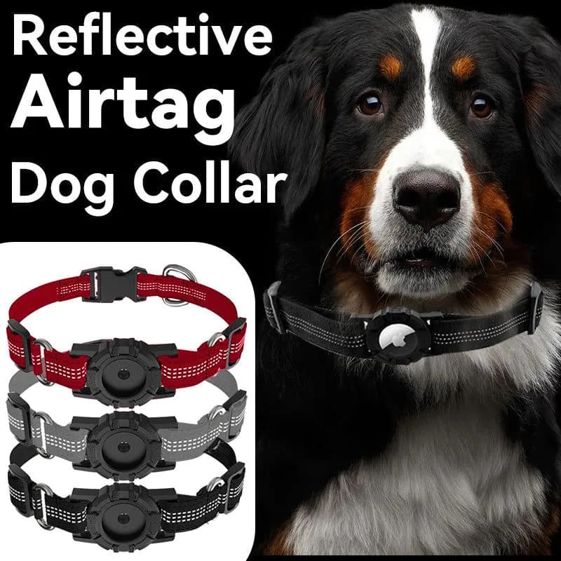 image-Dog Collar for Apple AirTag - Pet