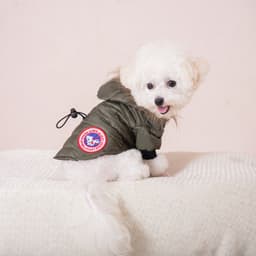 image-Pet Hooded Jacket - Dog Clothes Autumn Winter Warm