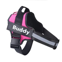 image-OUQIPETE Dog Chest Harness Leash - Purple XXL