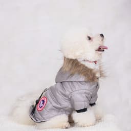 image-Pet Hooded Jacket - Dog Clothes Autumn Winter Warm