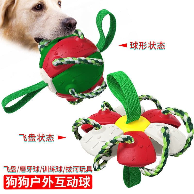 image-Dog Frisbee Toy - Interactive Outdoor Training