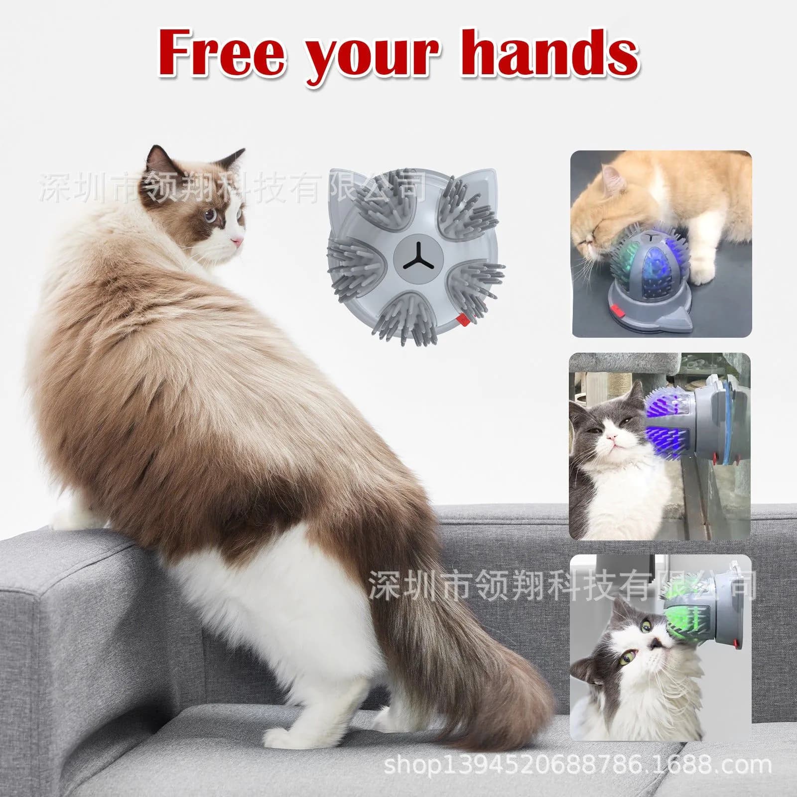 image-Bontop P24 Electric Cat Brush LED Toy