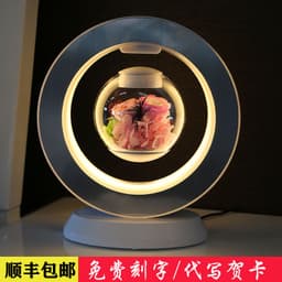 image-Rose Lovers Magnetic Levitation Flower - Blue