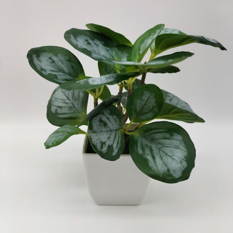 image-Simulation Watermelon Leaf Potted Plant - Monstera