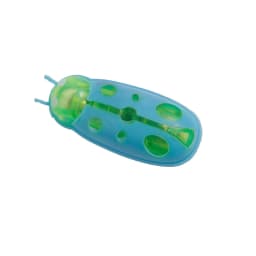image-Tinghao Ladybug Insect Pet Toy Jumping Mechanical Fun