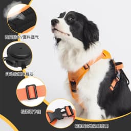 image-KINYU Dog Harness Leash Set - Black XL Retractable