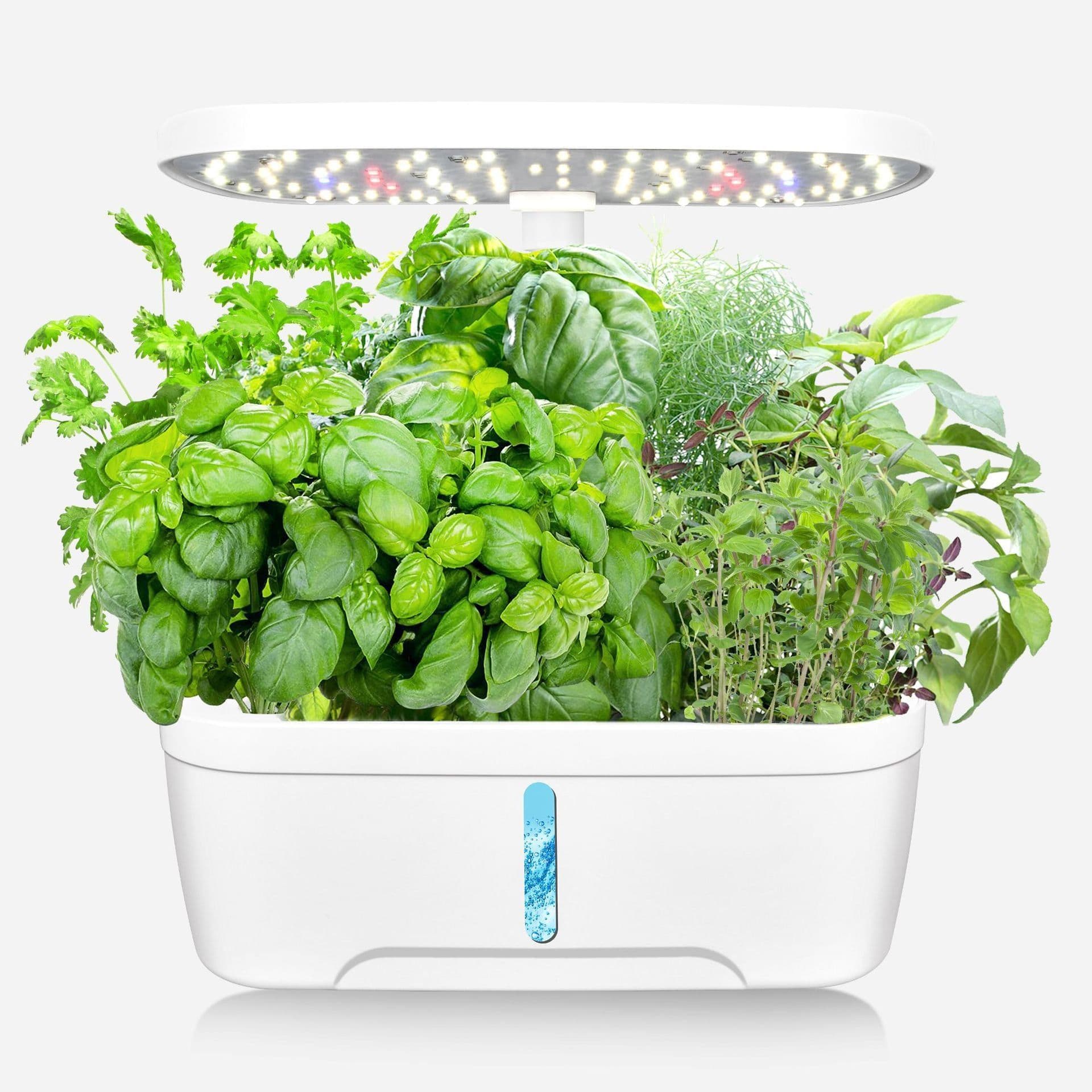 image-Qinglin Hydroponic Planter 12-Hole Indoor Plant Grow
