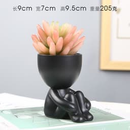 image-Sanwuxuan Nordic Ceramic Succulent Pot