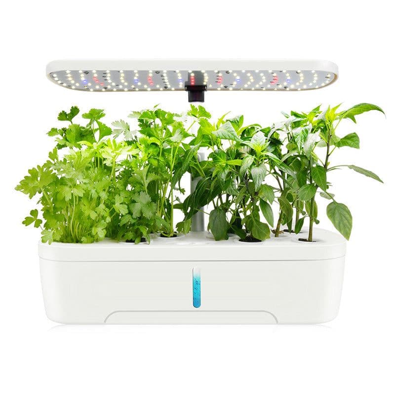 image-Qinglin Hydroponic Planter 12-Hole Indoor Plant Grow