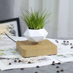 image-Magnetic Levitation Potted Plant