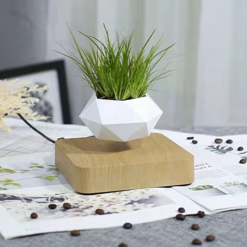 image-Magnetic Levitation Potted Plant