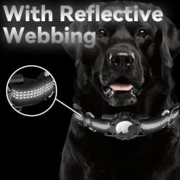 image-Dog Collar for Apple AirTag - Pet