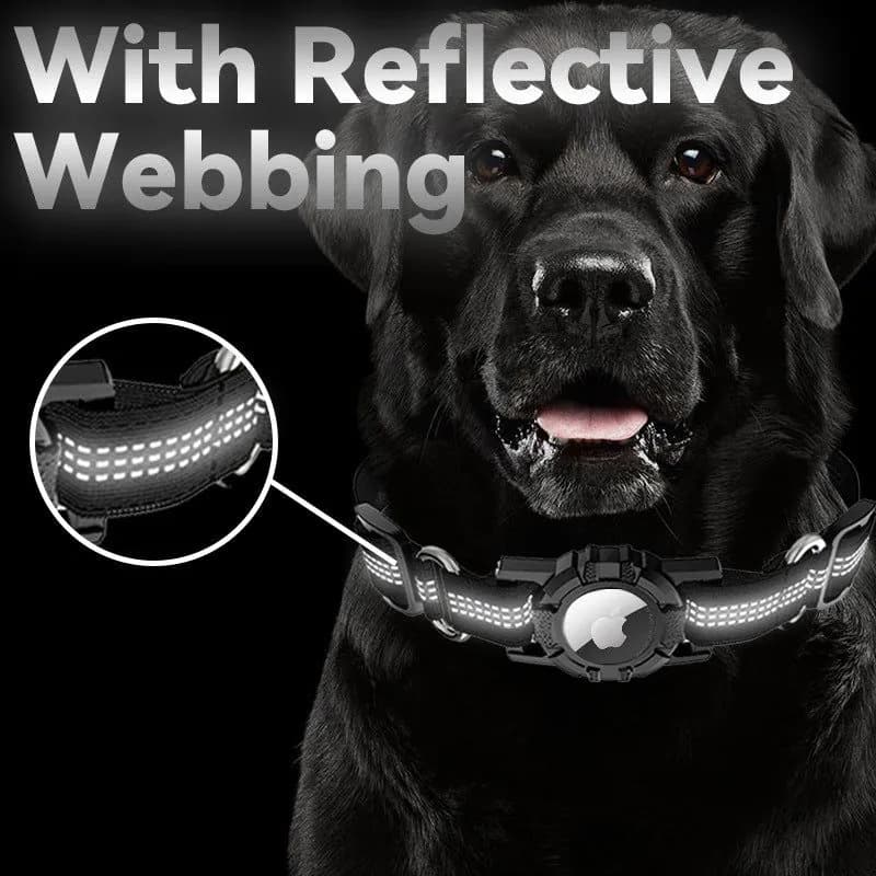 image-Dog Collar for Apple AirTag - Pet